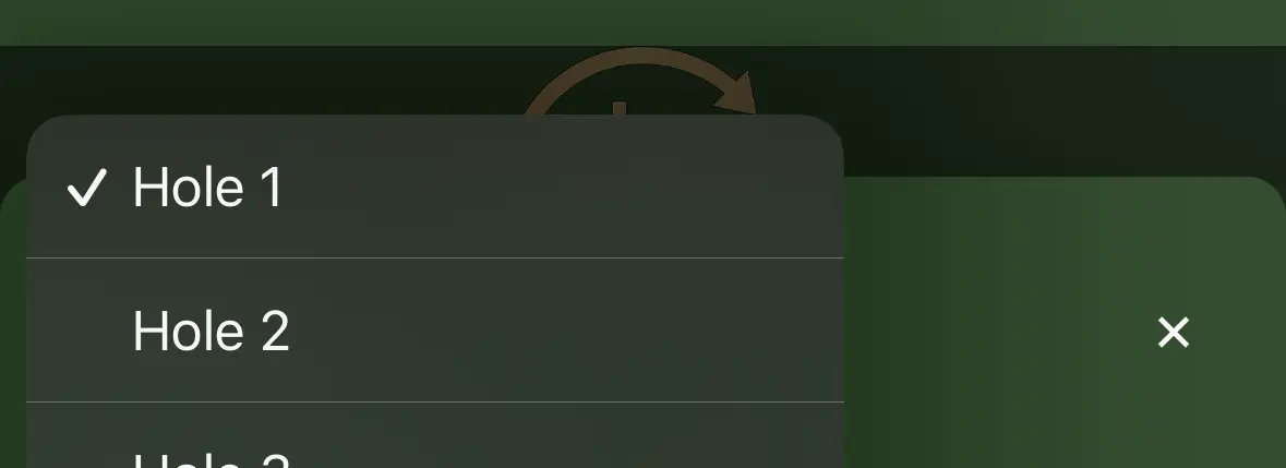 Select a hole from the dropdown (picture 4)